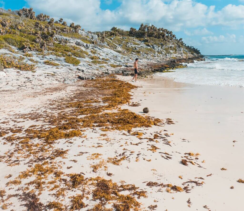 Best time to visit Tulum